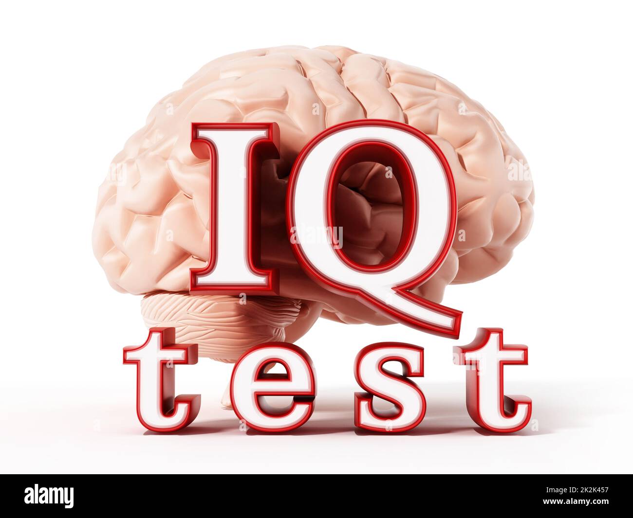 Brain test hi-res stock photography and images - Alamy