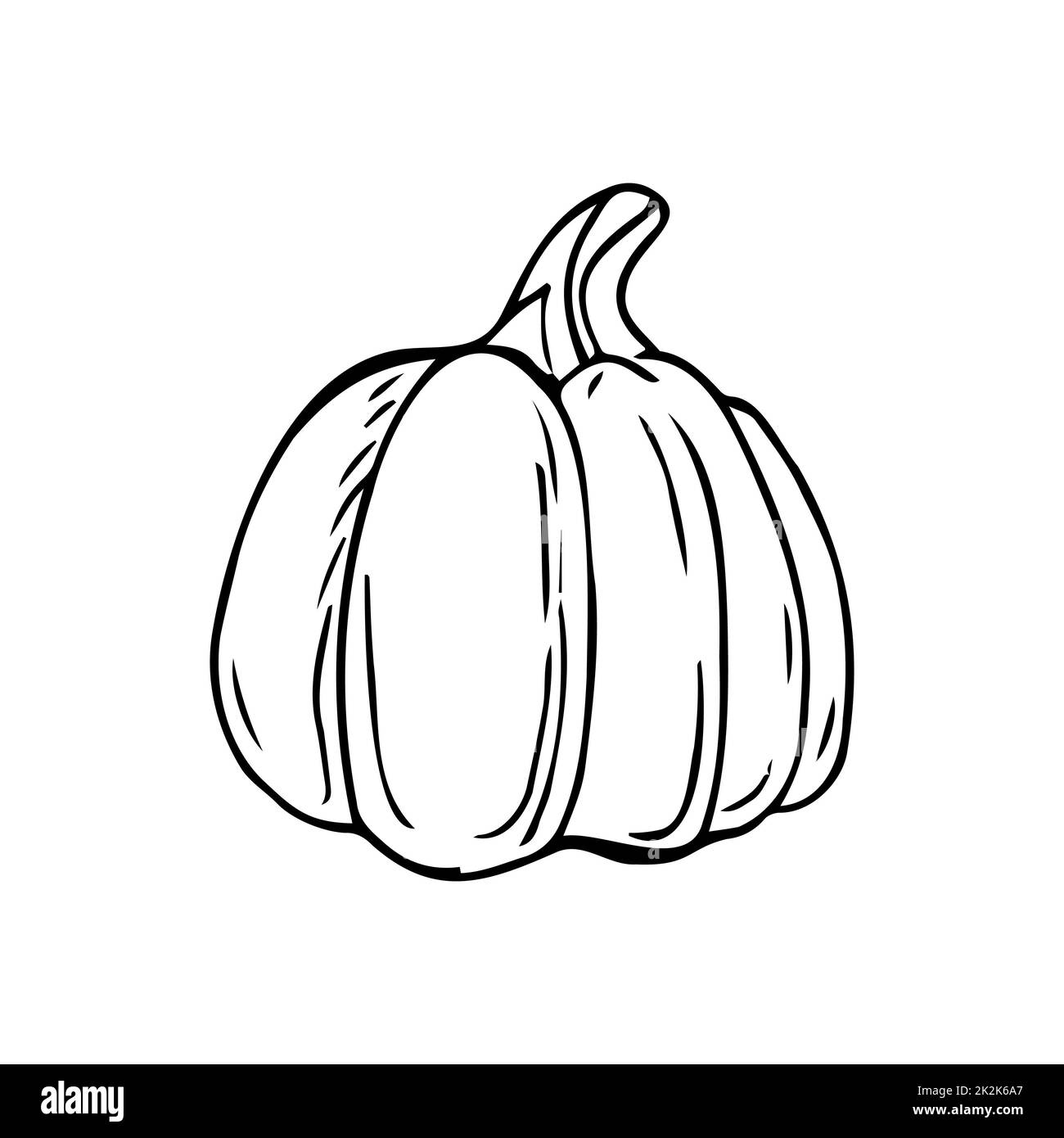 Large pumpkin thin black lines on a white background - Vector Stock Photo