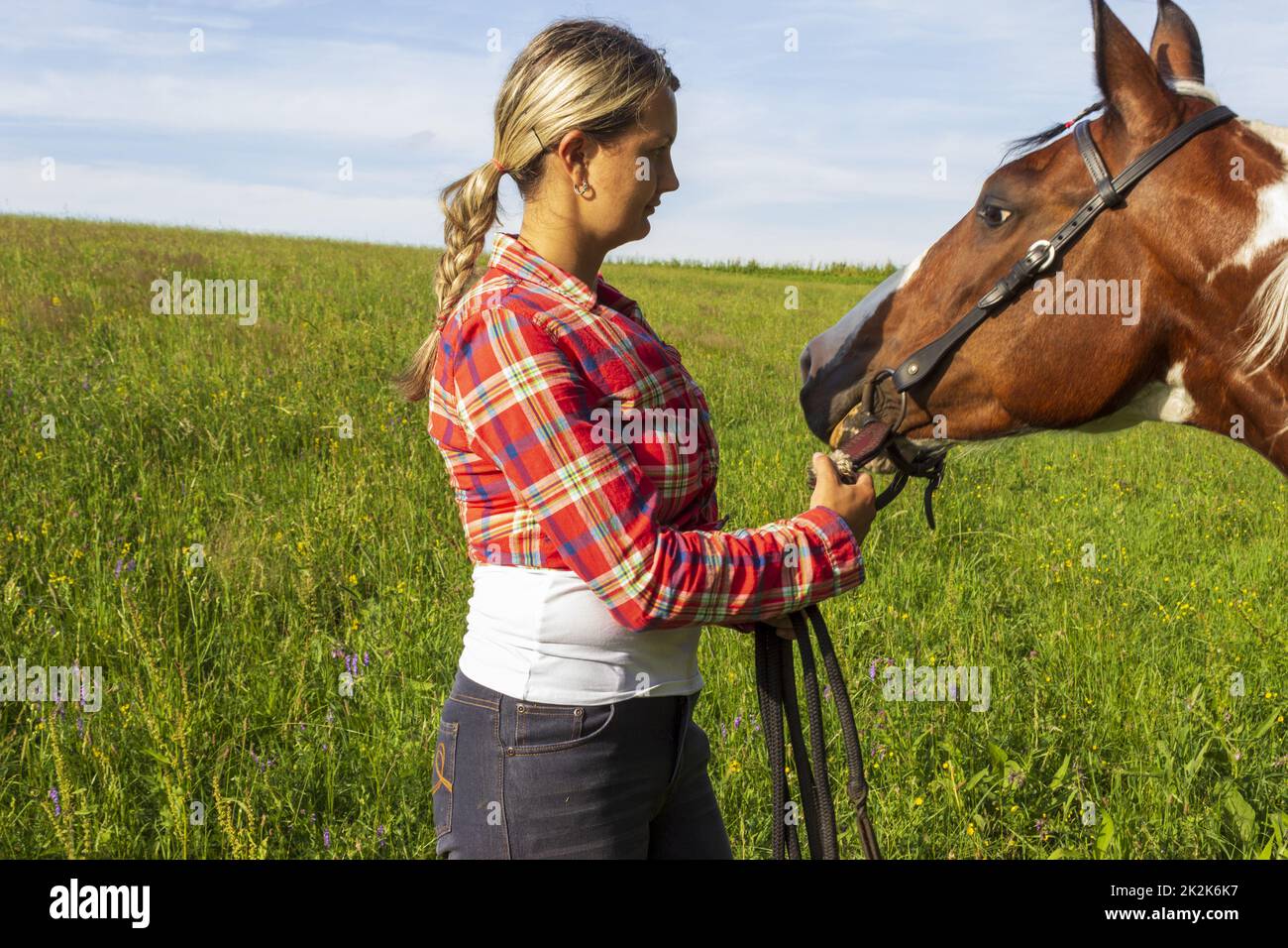 Young girl looks at her horse in grass Stock Photo