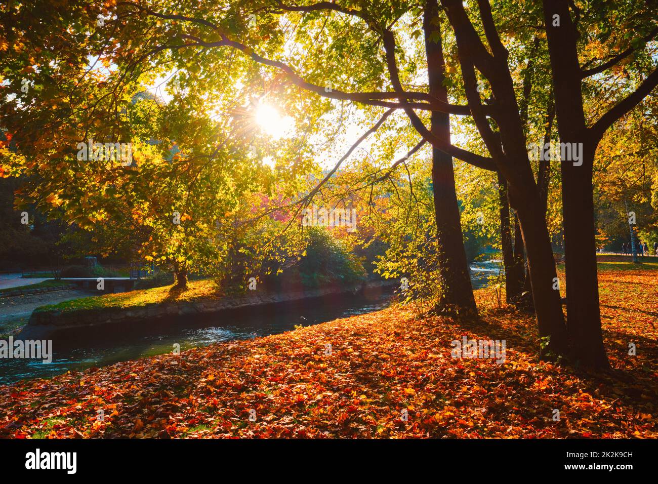 Golden autumn fall October in famous Munich relax place - Englishgarten. Munchen, Bavaria, Germany Stock Photo