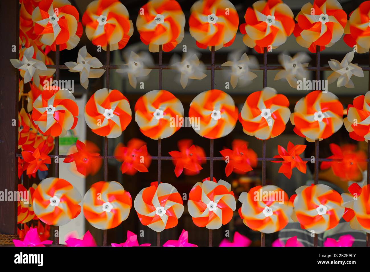Image of colorful kidney (Bunkyo-ku Rokuyoen) Stock Photo