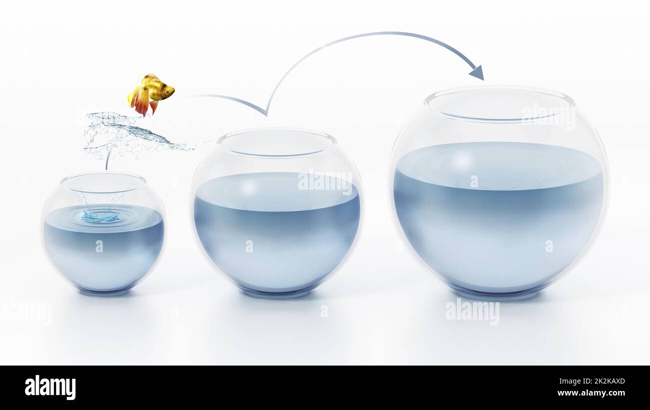 Fish jumping out of the bowl. 3D illustration Stock Photo