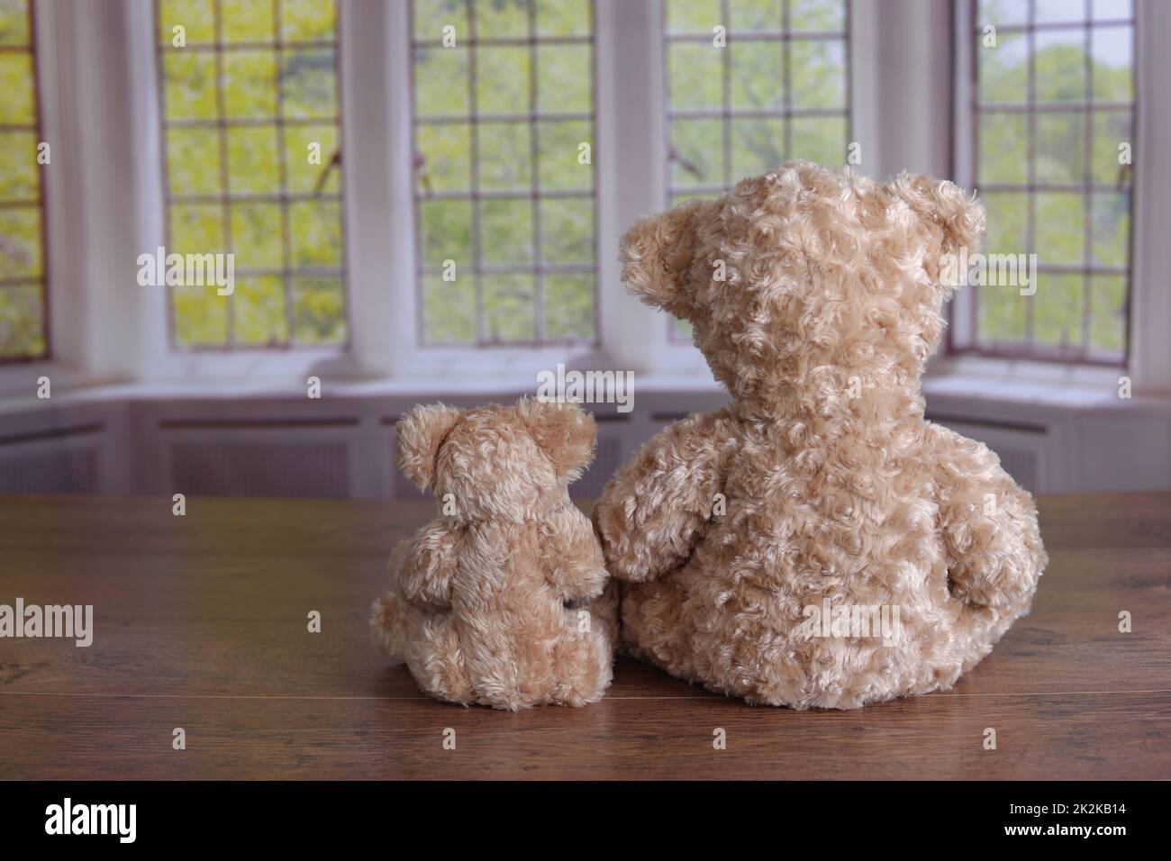 Parenting friendship bonding concept two teddy bears sitting together Stock Photo