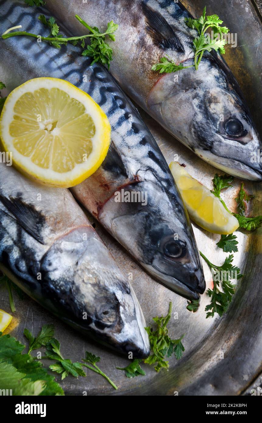 Mackerels on silver plate Stock Photo