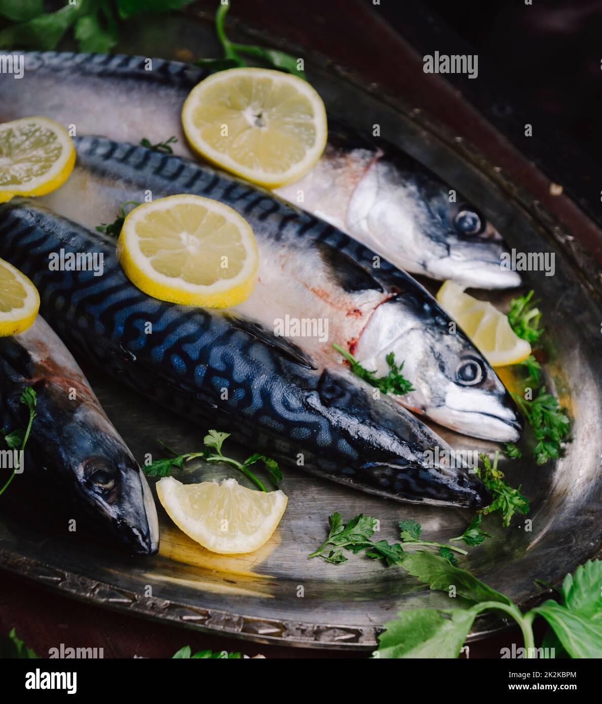 Mackerels on silver plate Stock Photo