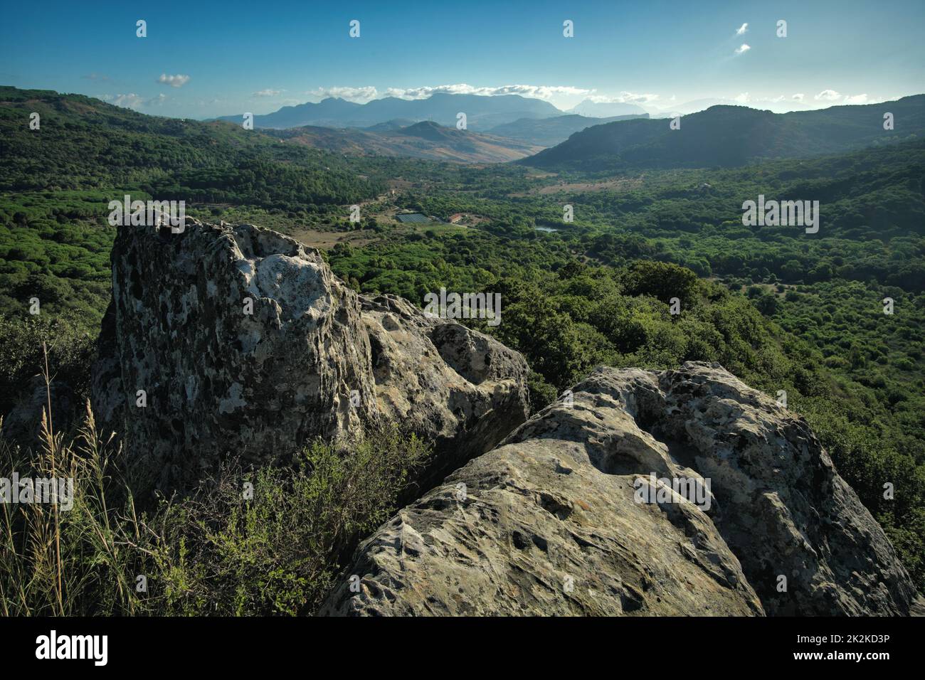 landscape of Ficuzza Woods in Sicily, Italy Stock Photo