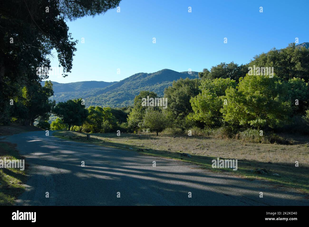 mountain road to Ficuzza Woods in Western Sicily, Italy Stock Photo