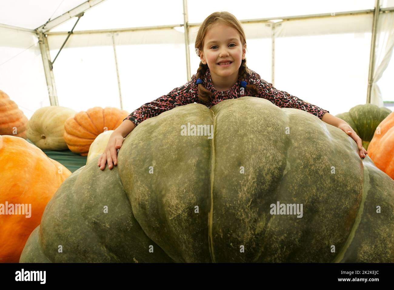 Clara, 6, poses with the winning squash entry during the Canna UK Giant Vegetables Championship at the Malvern Autumn Show, Three Counties Showground, Malvern, Worcestershire. Picture date: Friday September 23, 2022. Stock Photo