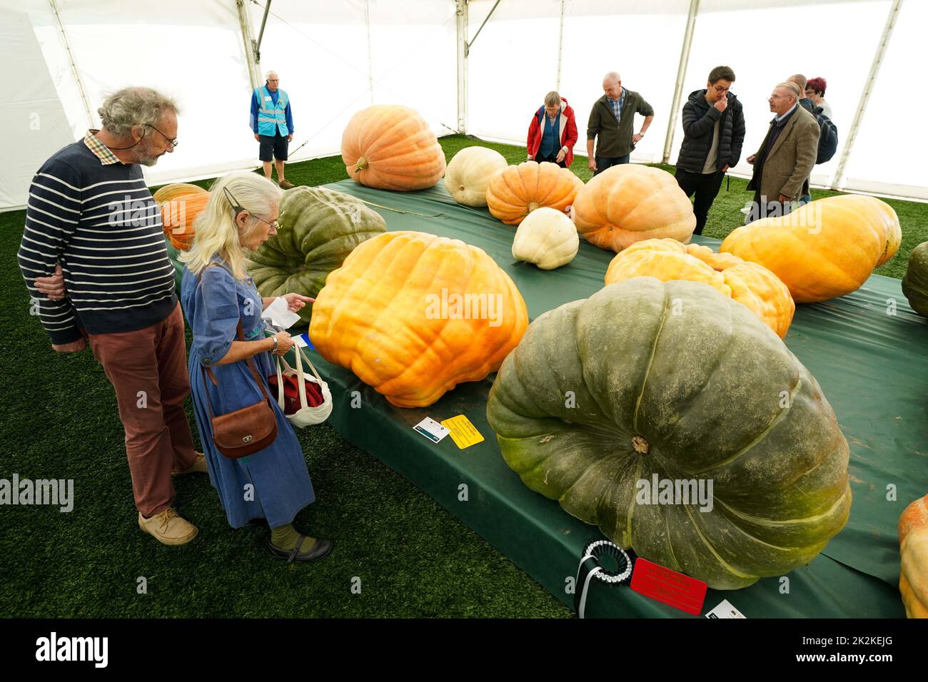 People observe the pumpkin and squash entries during the Canna UK Giant Vegetables Championship at the Malvern Autumn Show, Three Counties Showground, Malvern, Worcestershire. Picture date: Friday September 23, 2022. Stock Photo