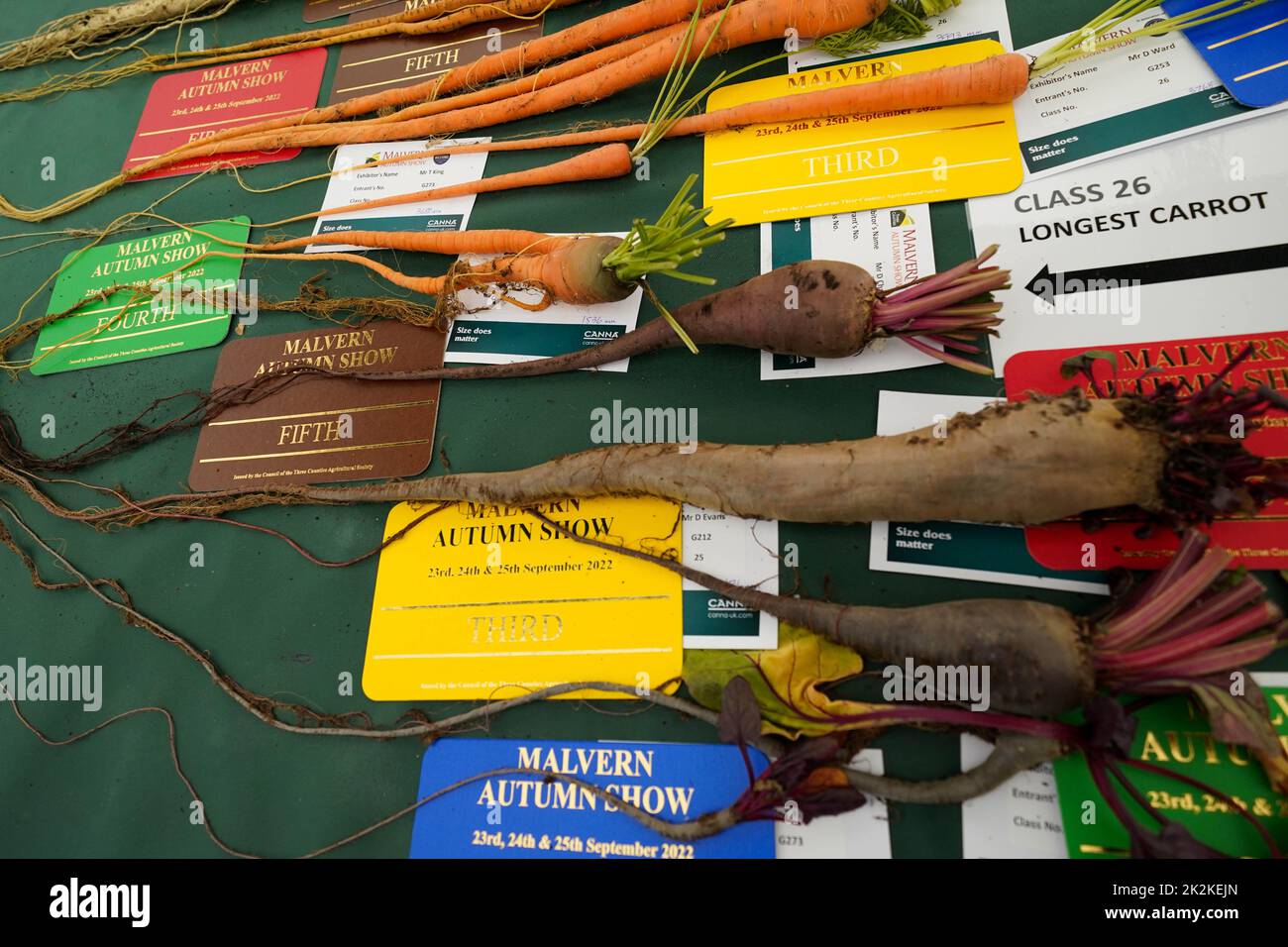 Root vegetables on show during the Canna UK Giant Vegetables