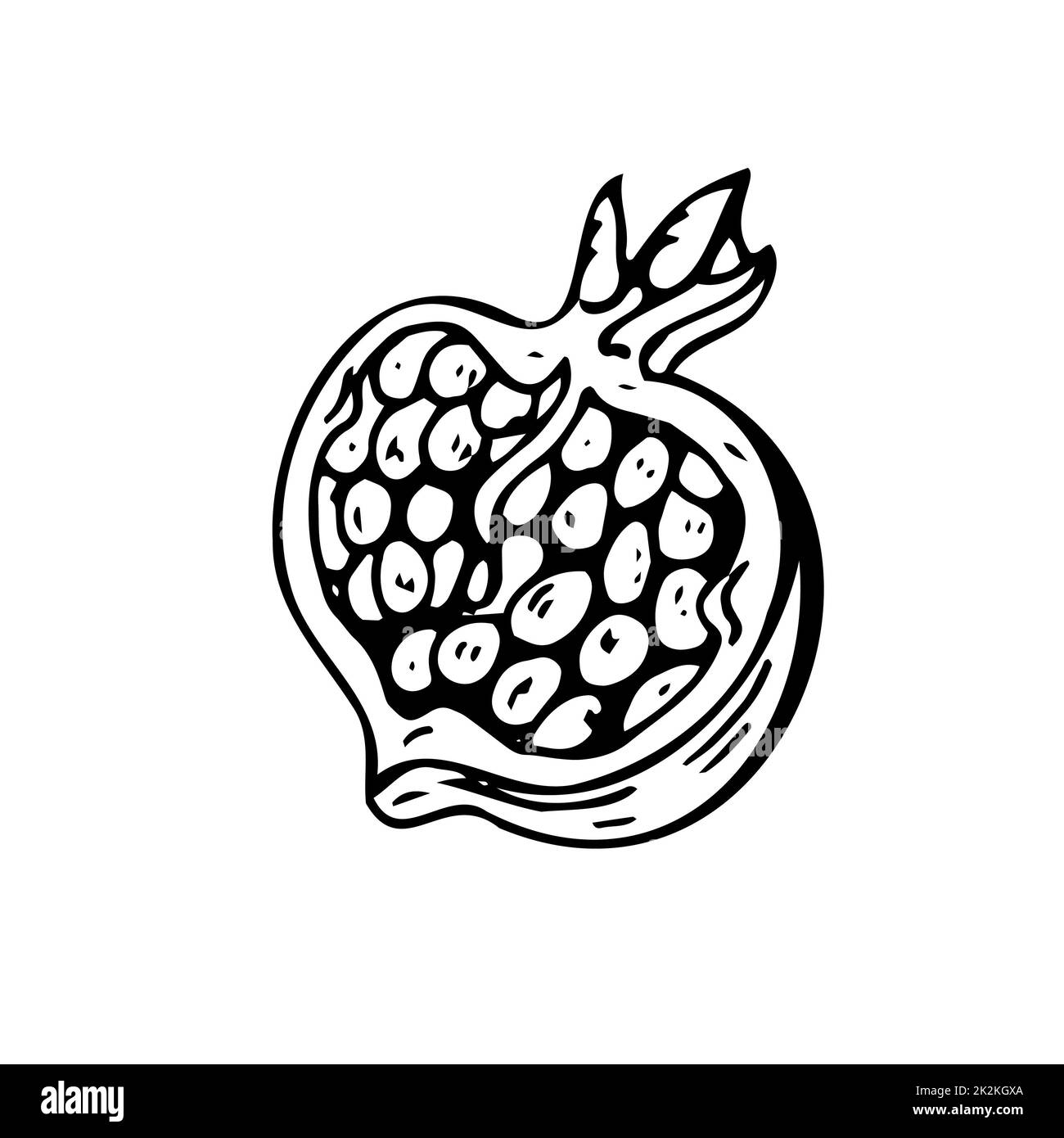 Ripe pomegranate thin black lines on a white background - Vector Stock Photo