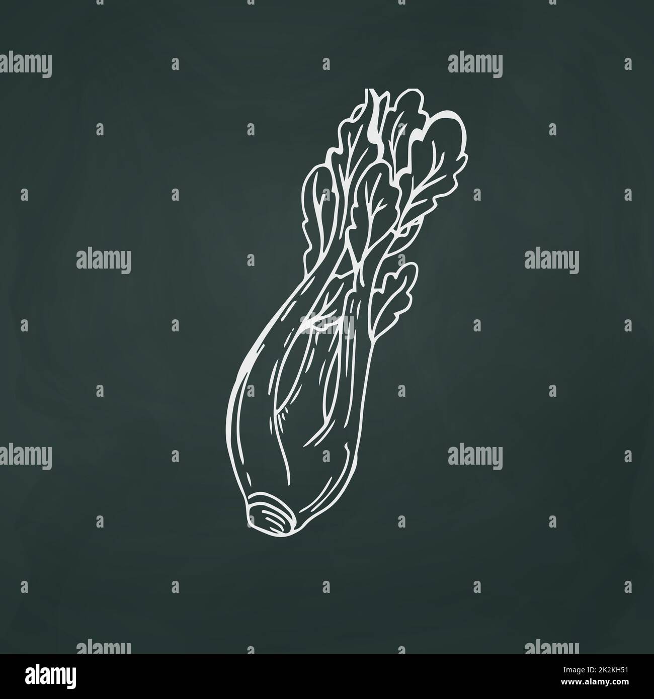 Celery thin white lines on a textural dark background - Vector Stock Photo