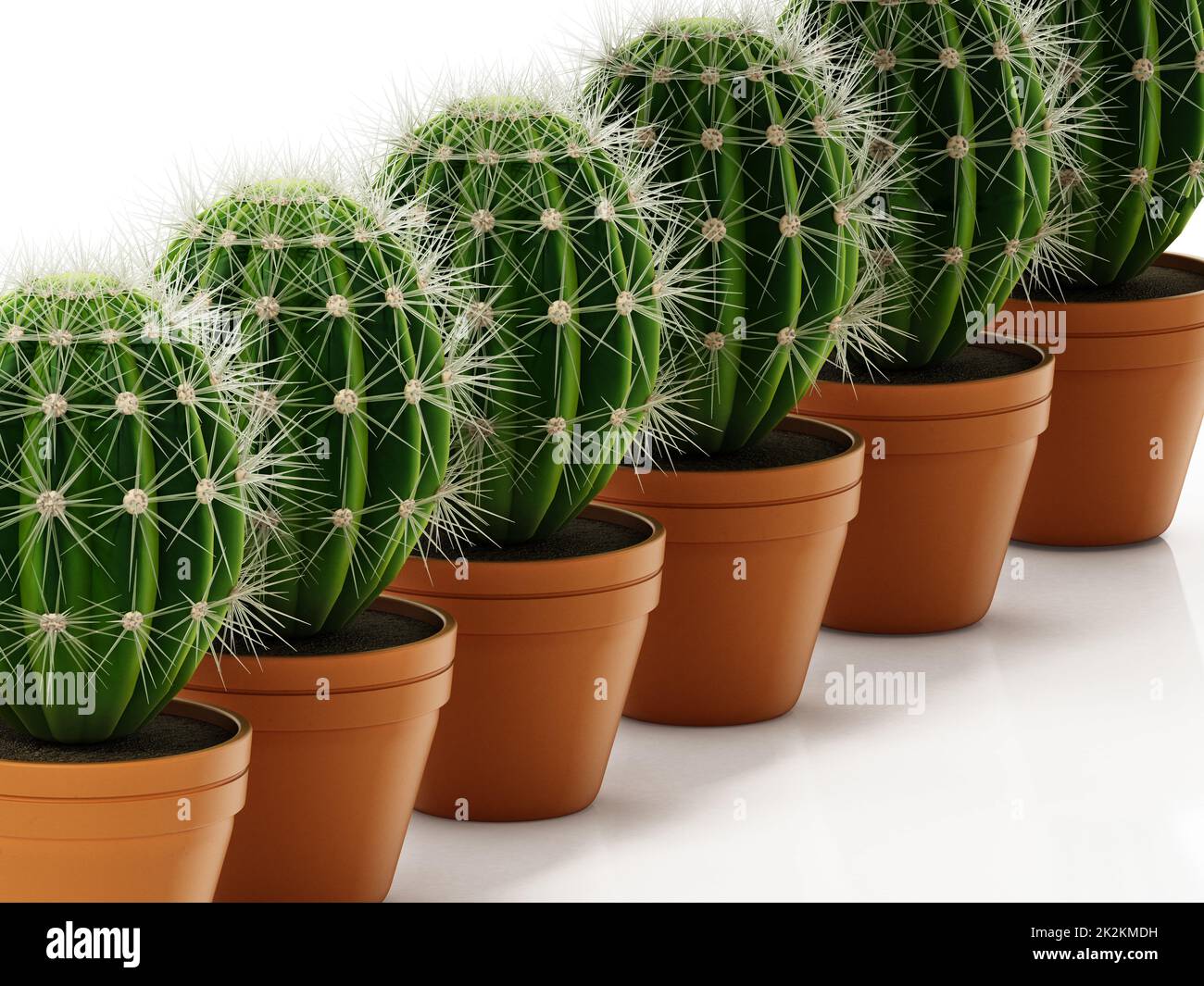 Group of cacti in flower pots isolated on white background. 3D