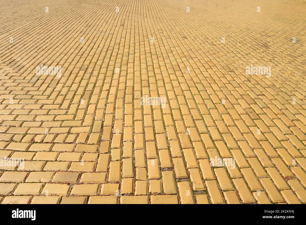 Yellow Brick Road Images – Browse 310 Stock Photos, Vectors, and