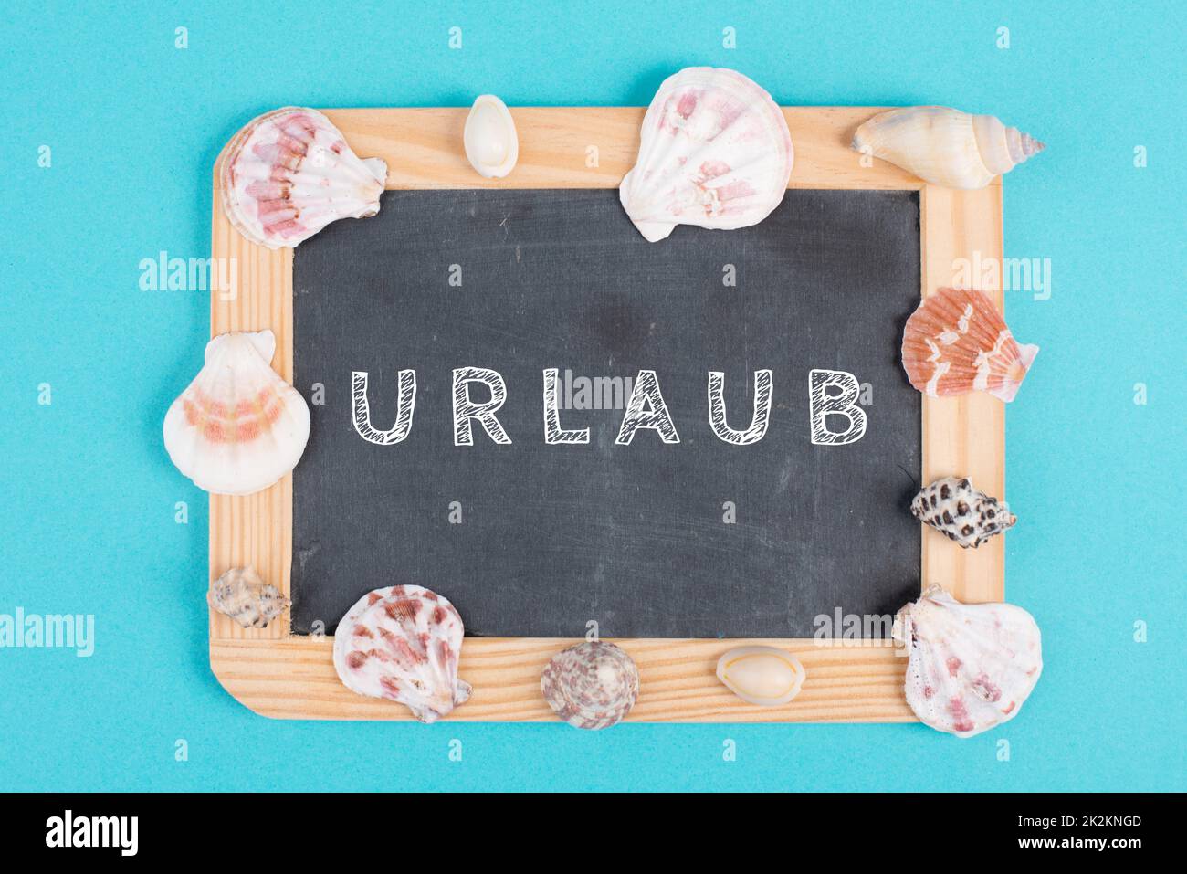 Empty chalkboard with seashells around, holiday and summertime background, vacation ad travel concept, german language Stock Photo