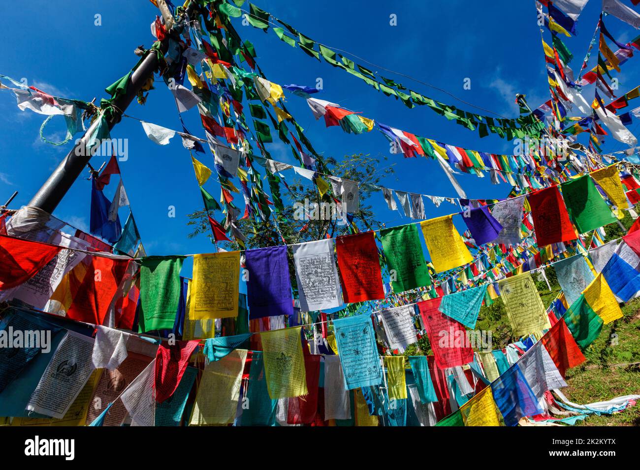 Buddhist prayer flags lunga in McLeod Ganj, Himachal Pradesh, India Stock Photo Alamy