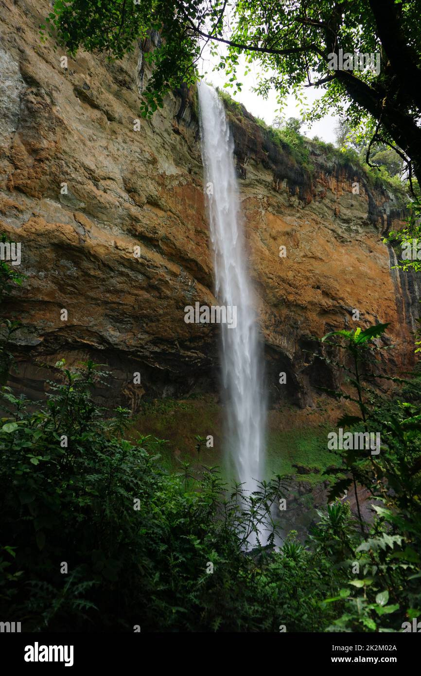 One of the Sipi Falls at Mount Elgon National Park in between lush vegetation Stock Photo
