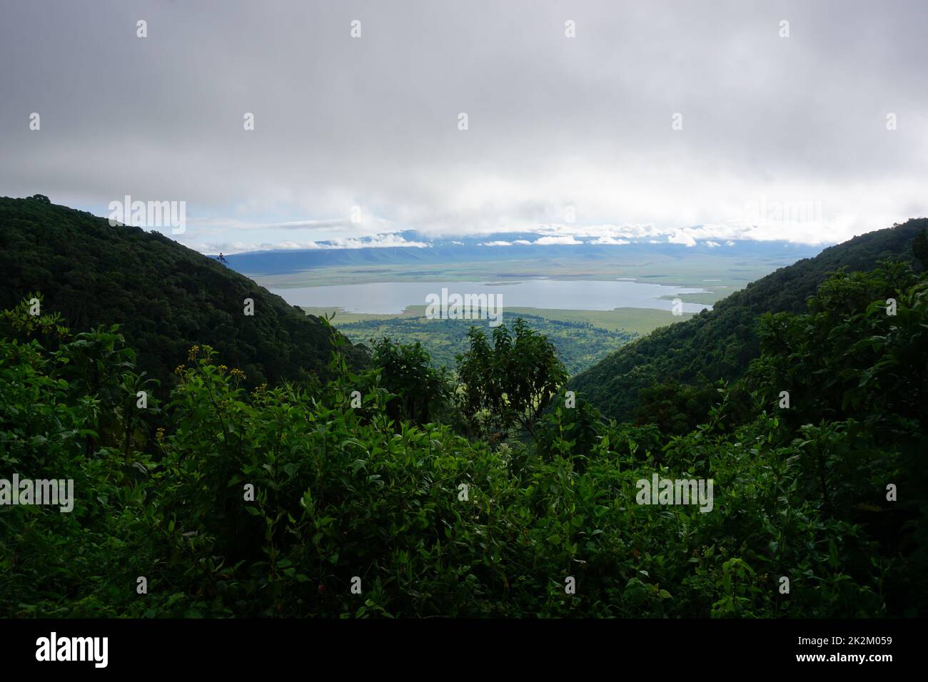 Glimpse on Lake Magadi in the Ngorongoro Crater National Park Stock Photo