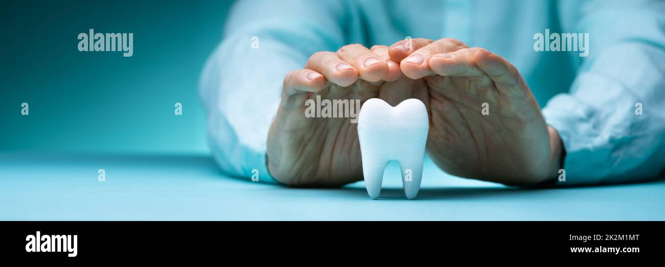 Dental Tooth Insurance Stock Photo Alamy
