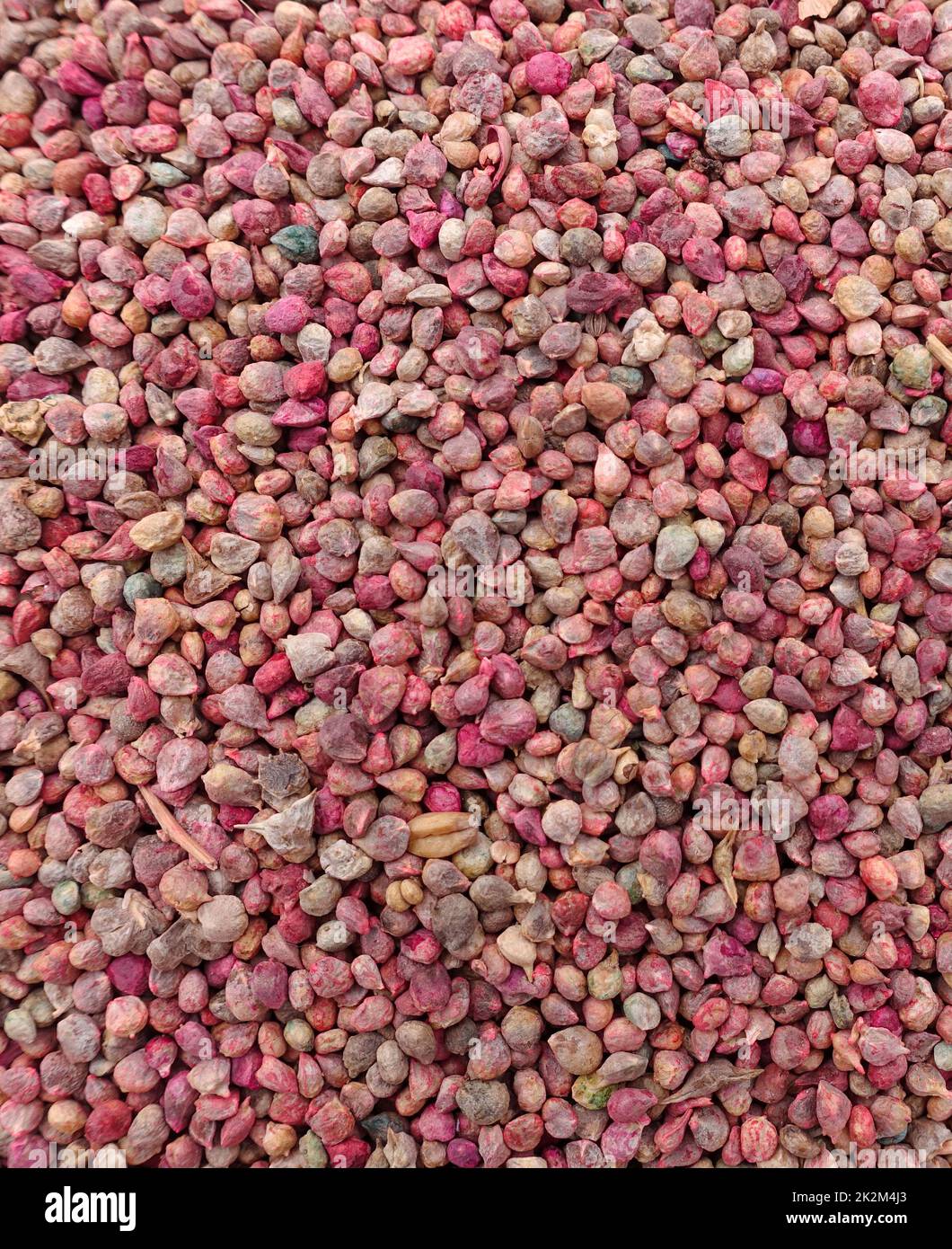 Unpackaged pea seeds, organic pea seeds, ancestor seeds, sold in cloth