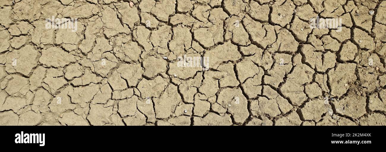 closeup ,Cracking and splitting of soils due to thirstsoil erosion