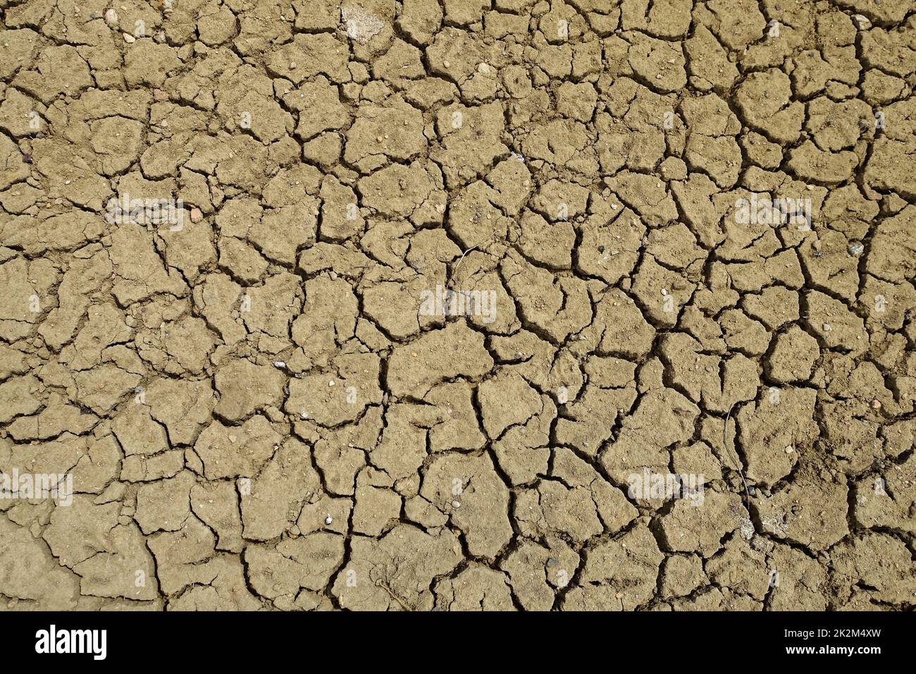close- up,Cracking and splitting of soils due to thirst-soil erosion and drought Stock Photo