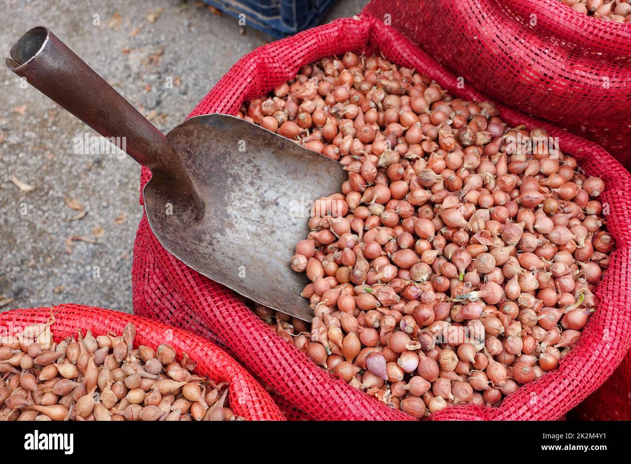 Unpackaged shallot onions sold in cloth bags, shallot seeds for