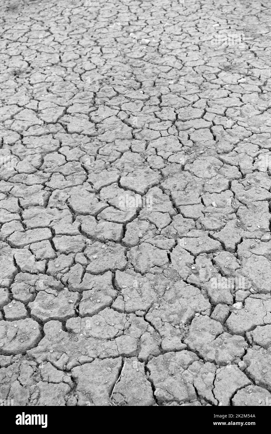 rapidly drying world-cracked and fissured soils-drought as a result of global warming Stock Photo