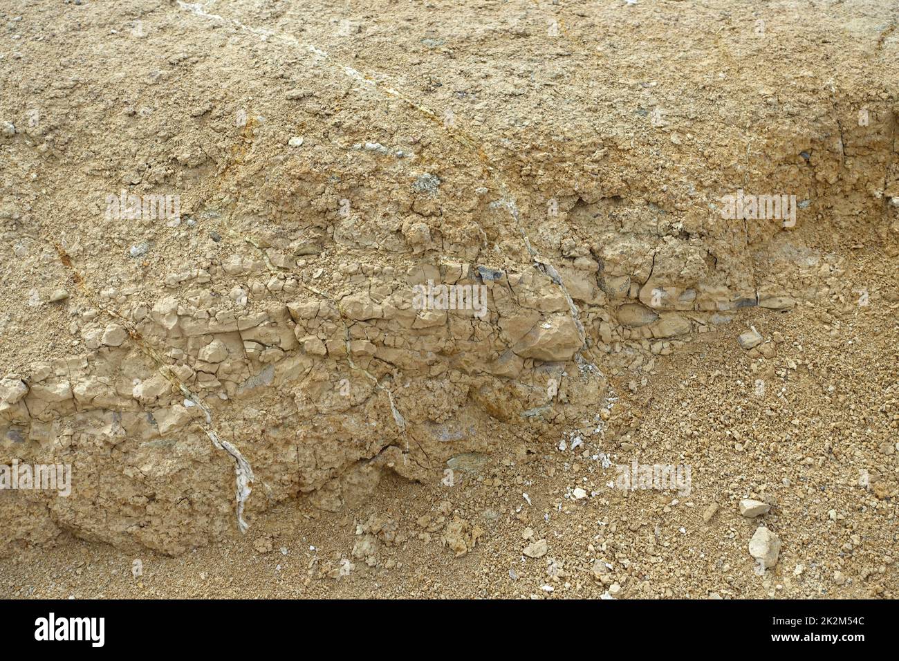 soil typesyellow soil type, sandy and hard rock yellow soil, soil