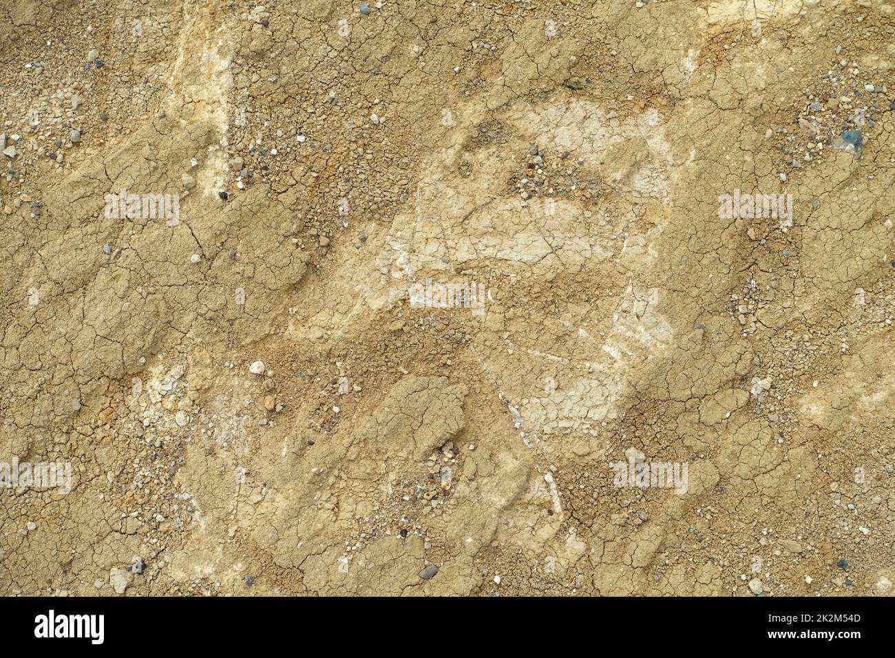 soil typesyellow soil type, sandy and hard rock yellow soil, soil