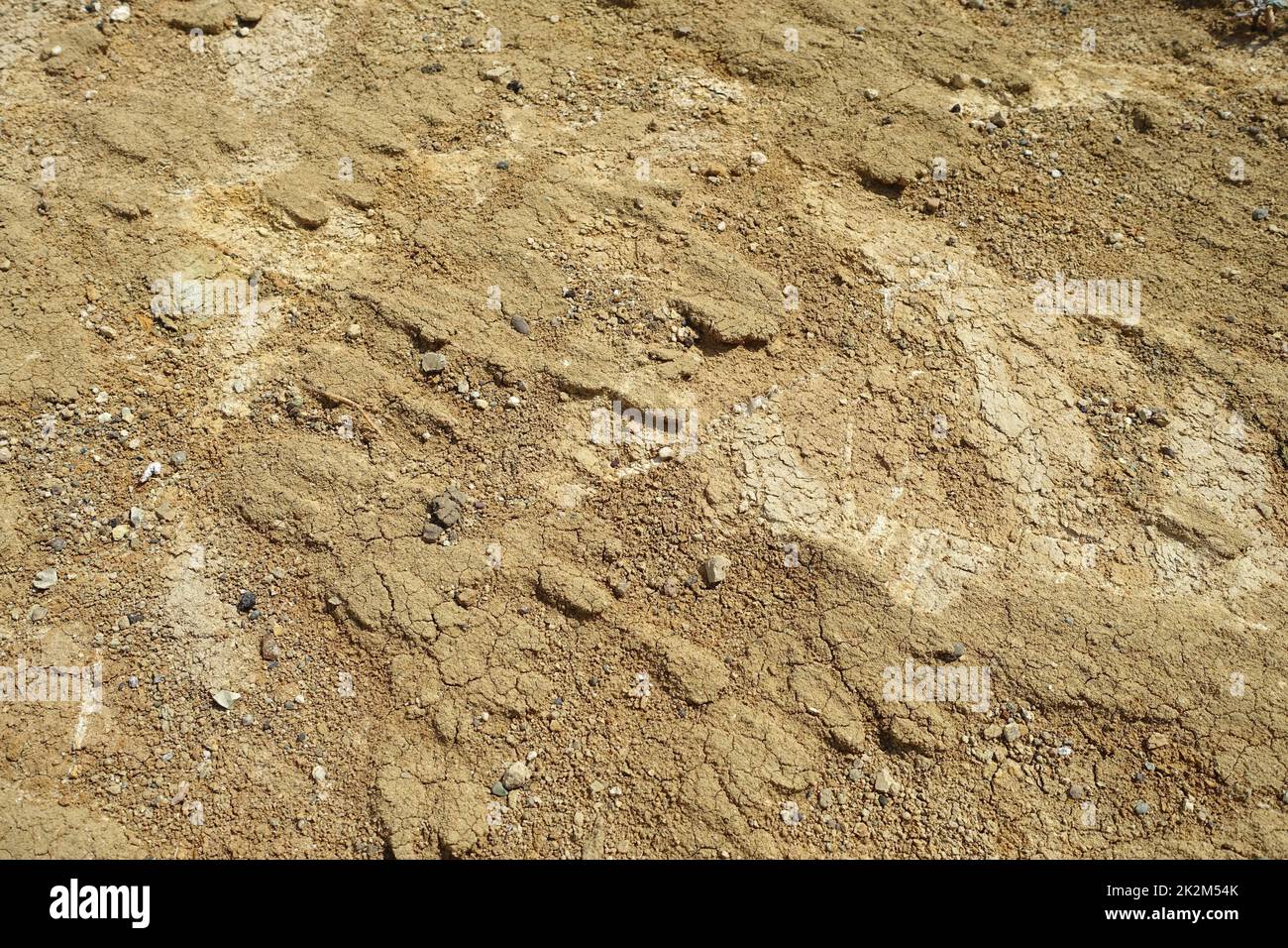 soil typesyellow soil type, sandy and hard rock yellow soil, soil