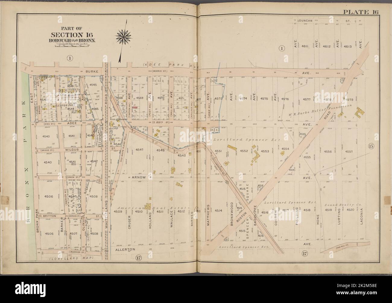Cartographic, Maps. 1913. Lionel Pincus and Princess Firyal Map