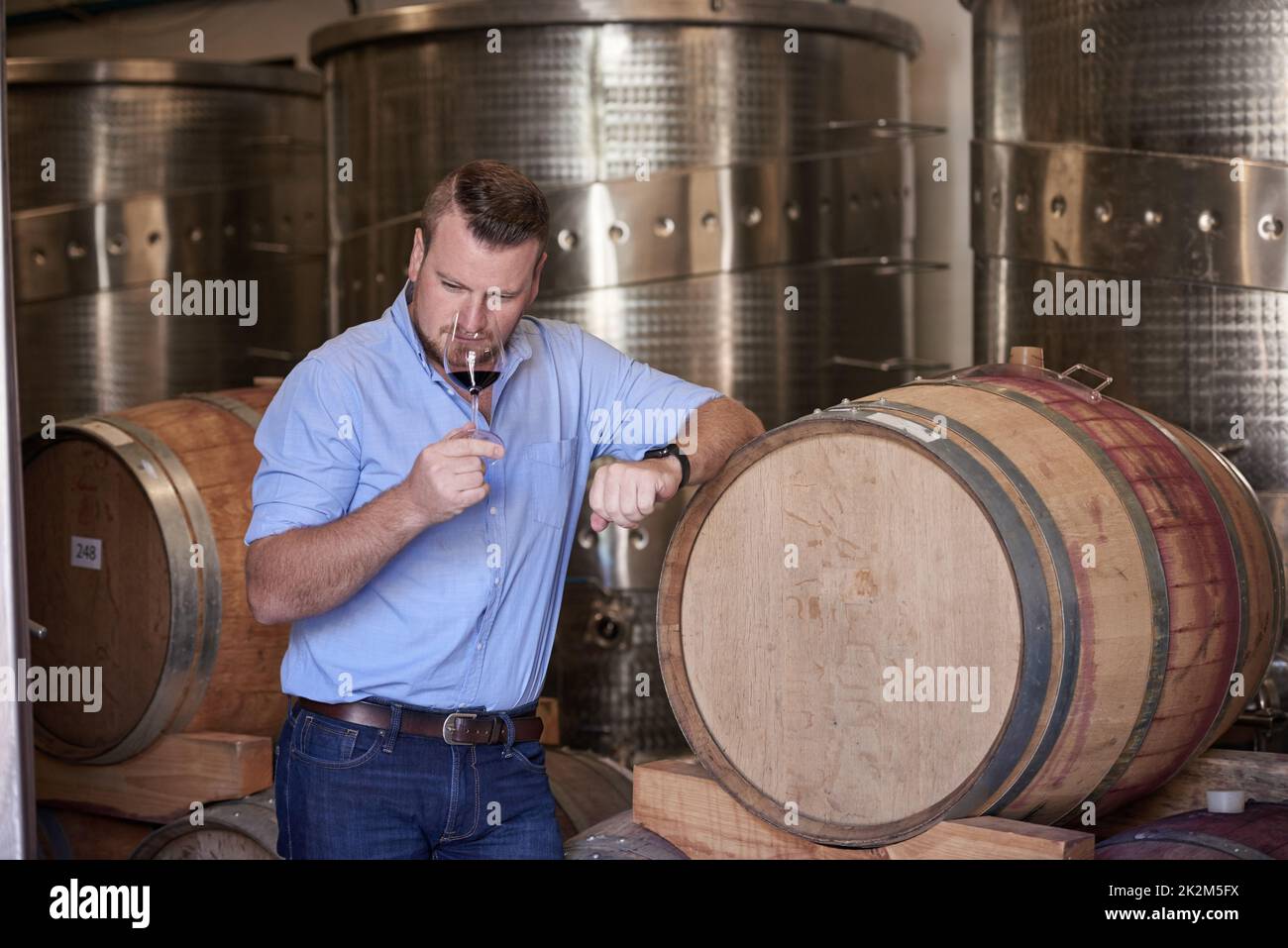 Wine speaks to all the senses. Cropped shot of a man enjoying wine tasting in his distillery. Stock Photo
