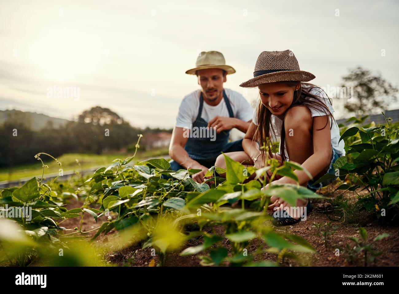 Shes getting some hands on education. Low angle shot of a handsome man and his young daughter working the fields on their farm. Stock Photo