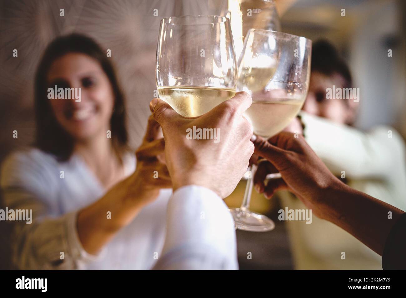 Cheerful group of people having fun toasting and drinking white wine sitting at restaurant table - friends raising glasses for a celebratory toast - f Stock Photo