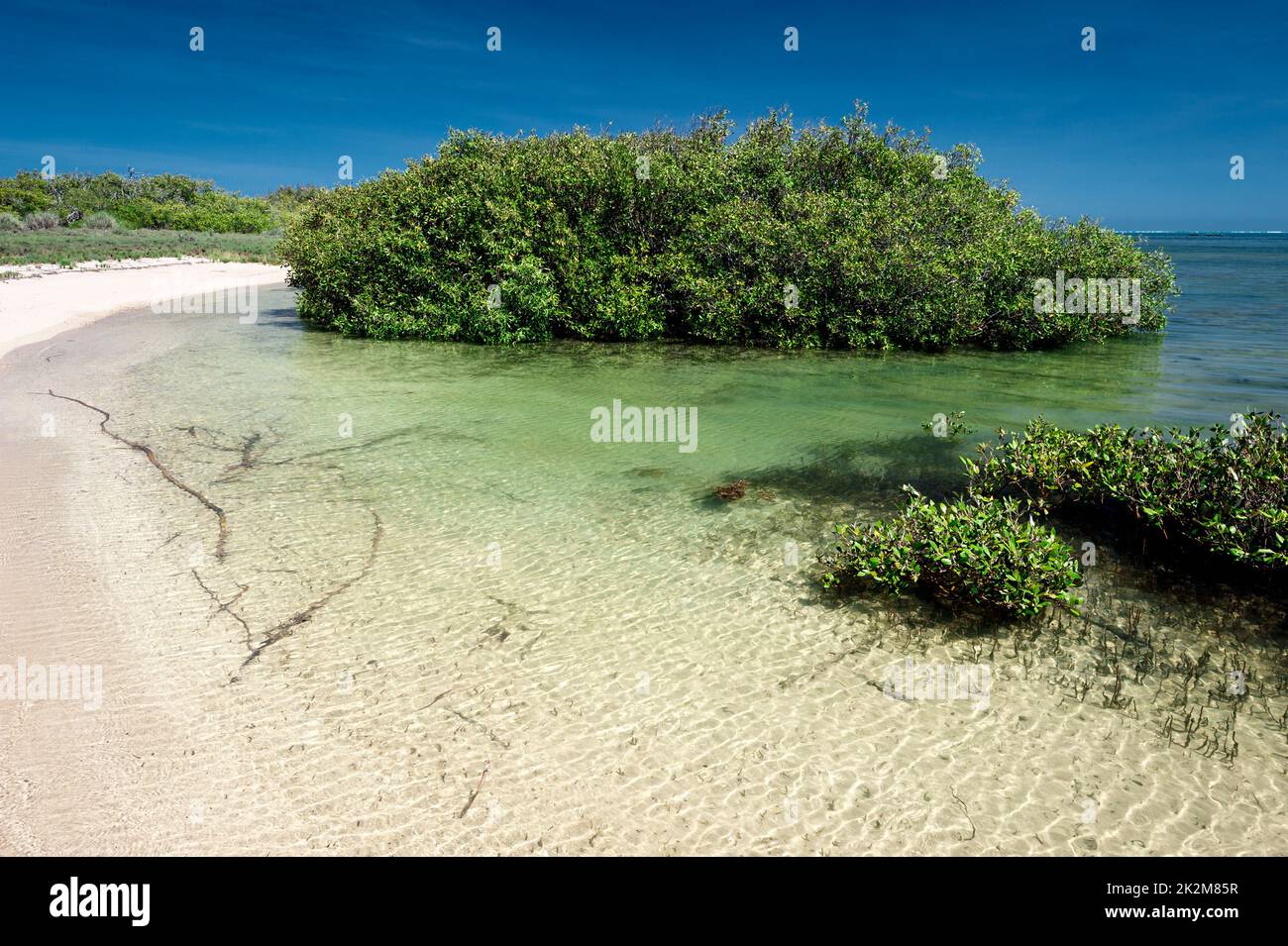 Mangrove Bay in tropical Cape Range National Park. Stock Photo
