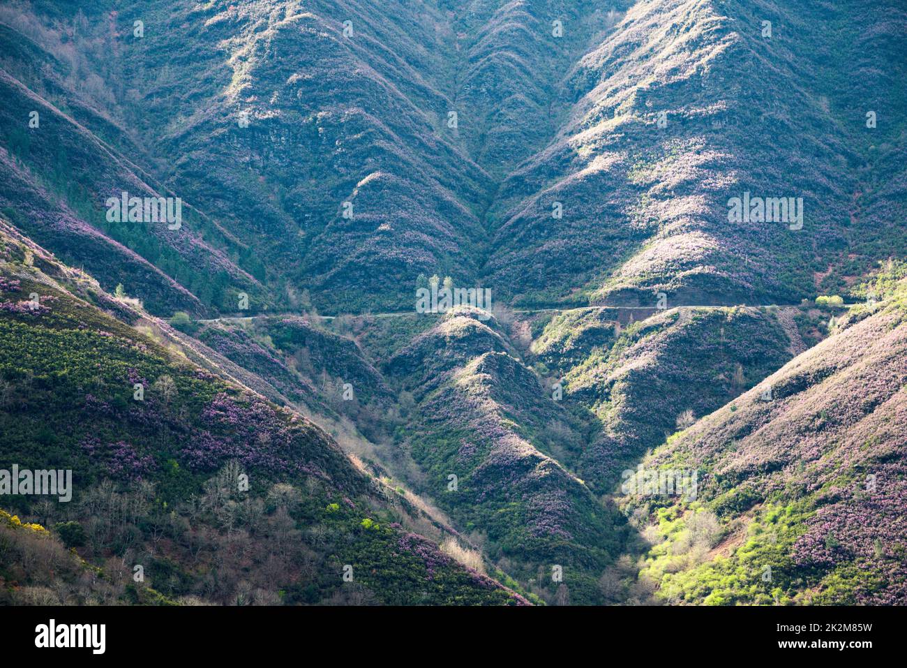 A road cuts through the landscape of forested cliffs and steep ravines ...
