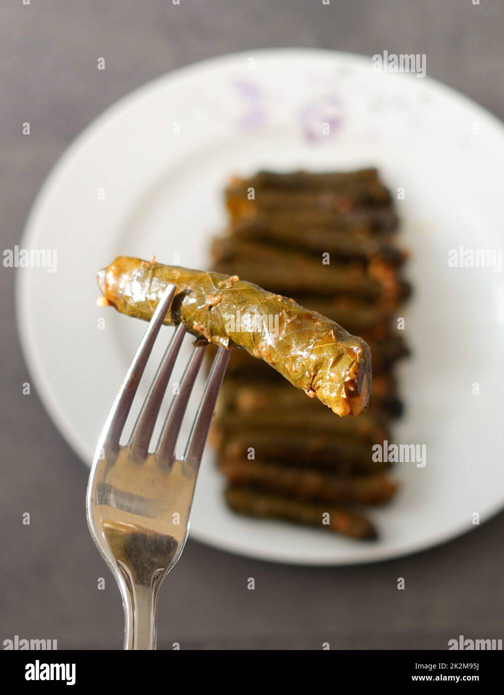 Stuffed Leaf with Olive Oil Stuffed Grape Leaf Turkish Stuffed