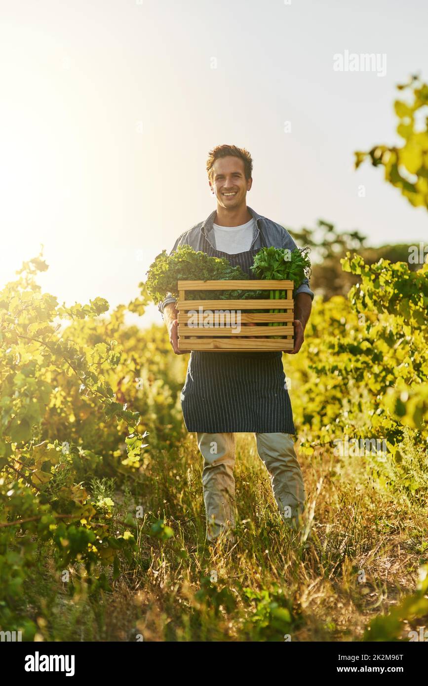 Full of organic goodness. Shot of a young man holding a crate full of freshly picked produce on a farm. Stock Photo