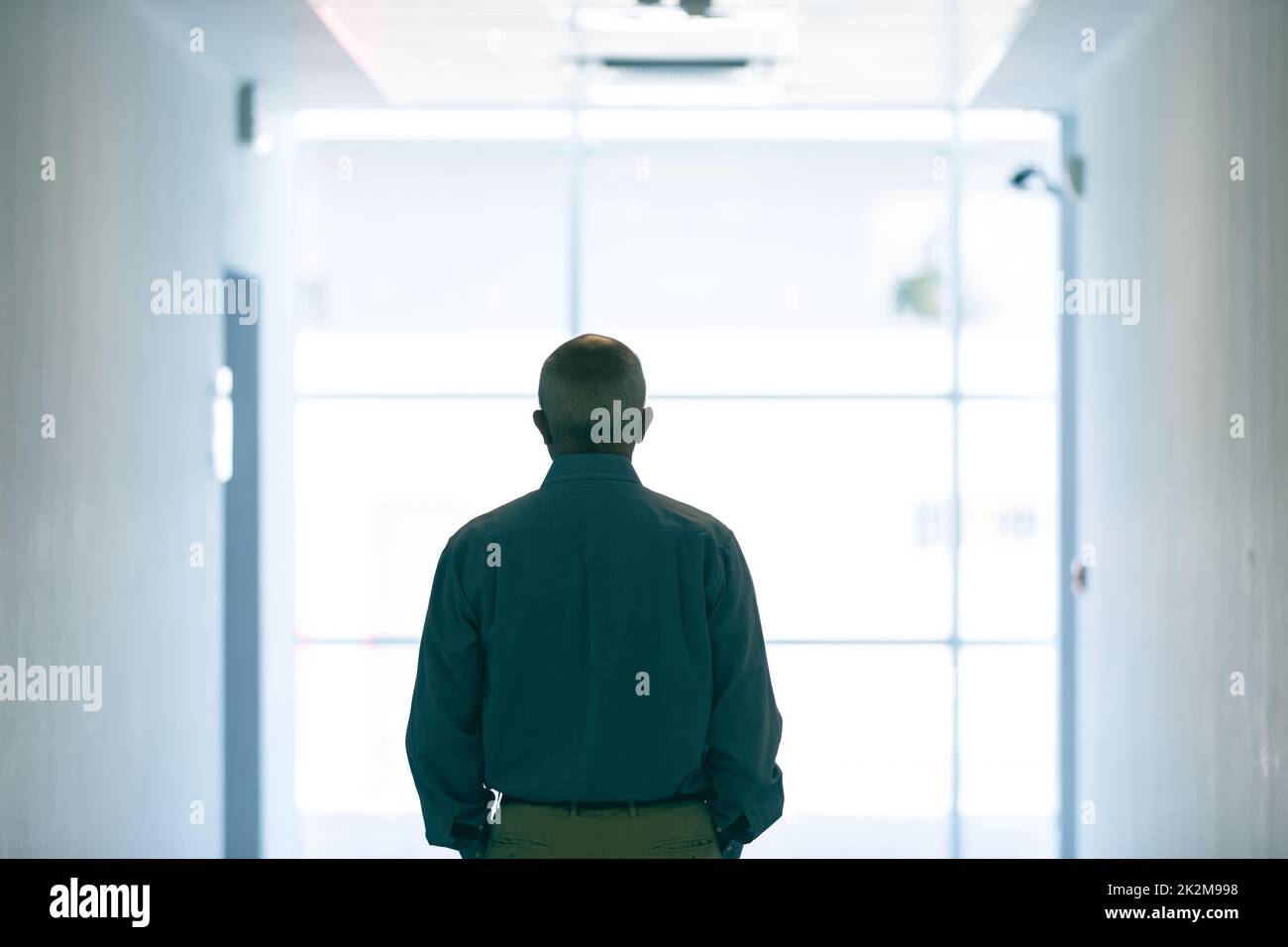 Man looking out of window - Stock Image - F009/8001 - Science