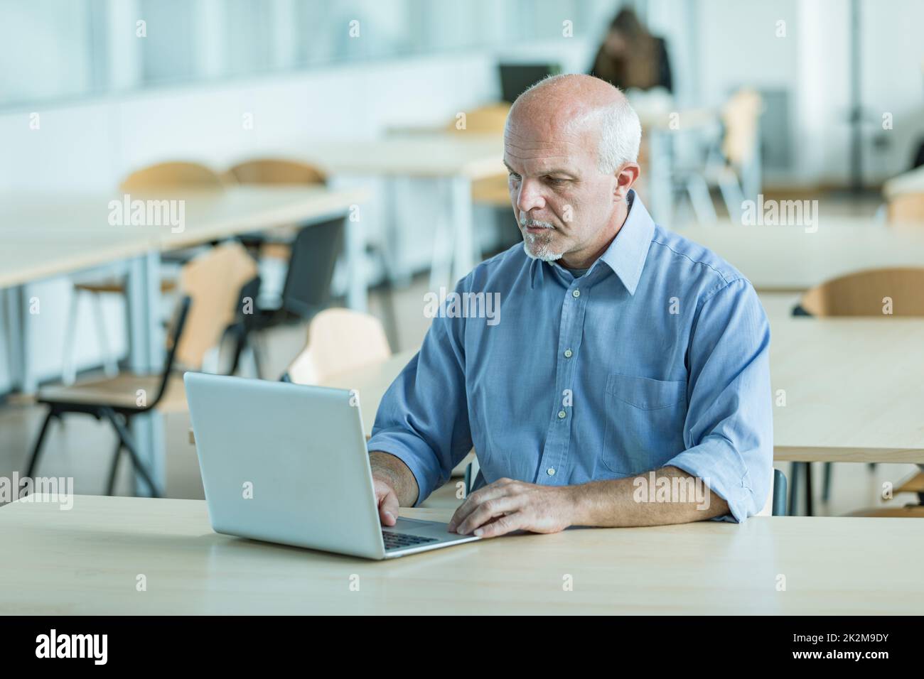 Businessman working on a laptop in a canteen Stock Photo