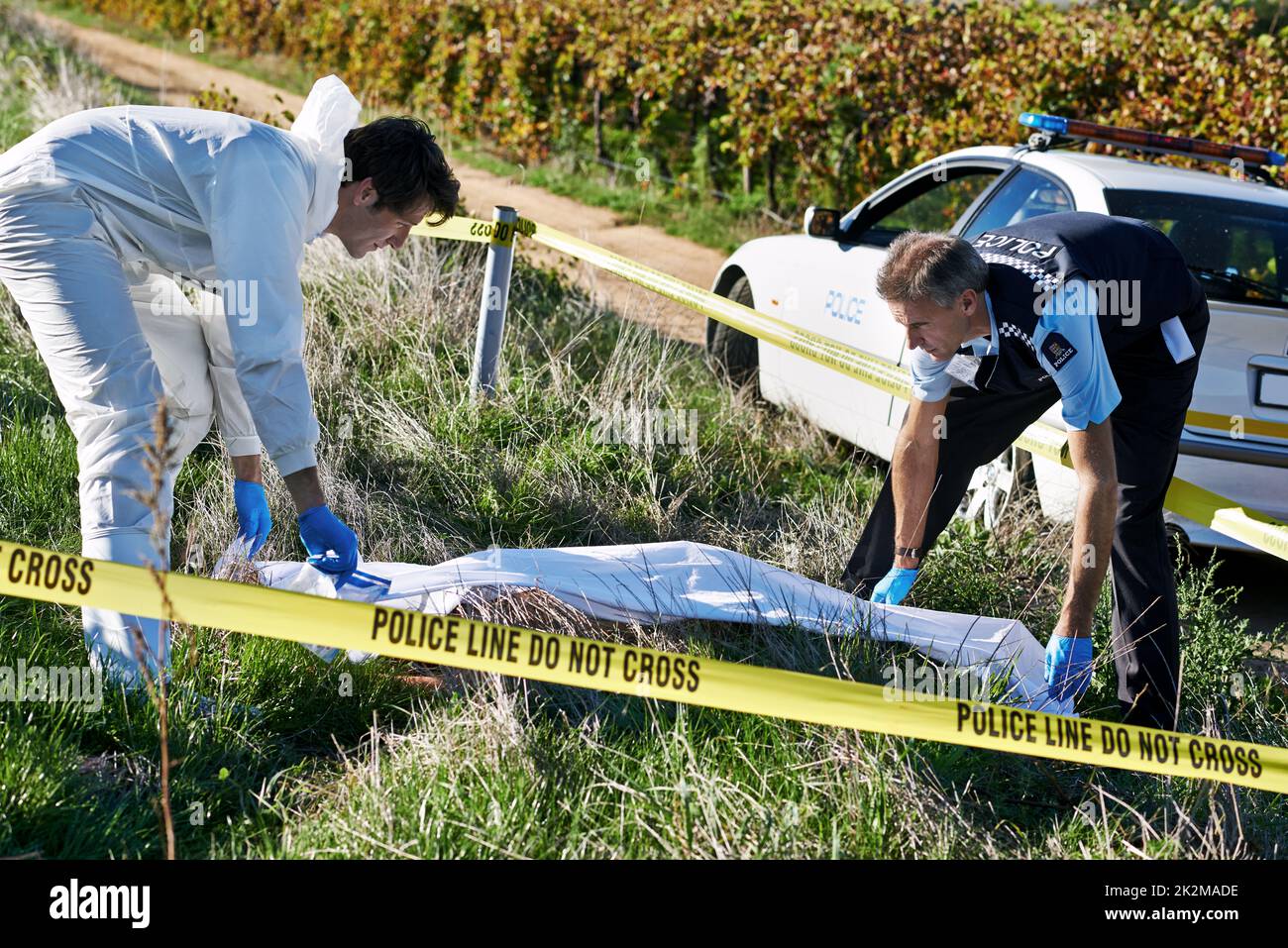 Shot of two investigators picking up a body bag at a crime scene Stock