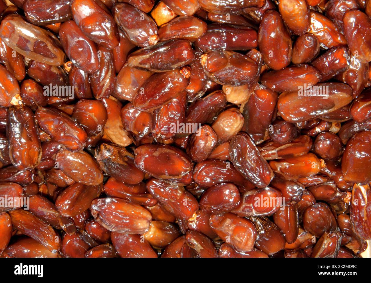 Dates are edible fruits of the date palm Stock Photo Alamy