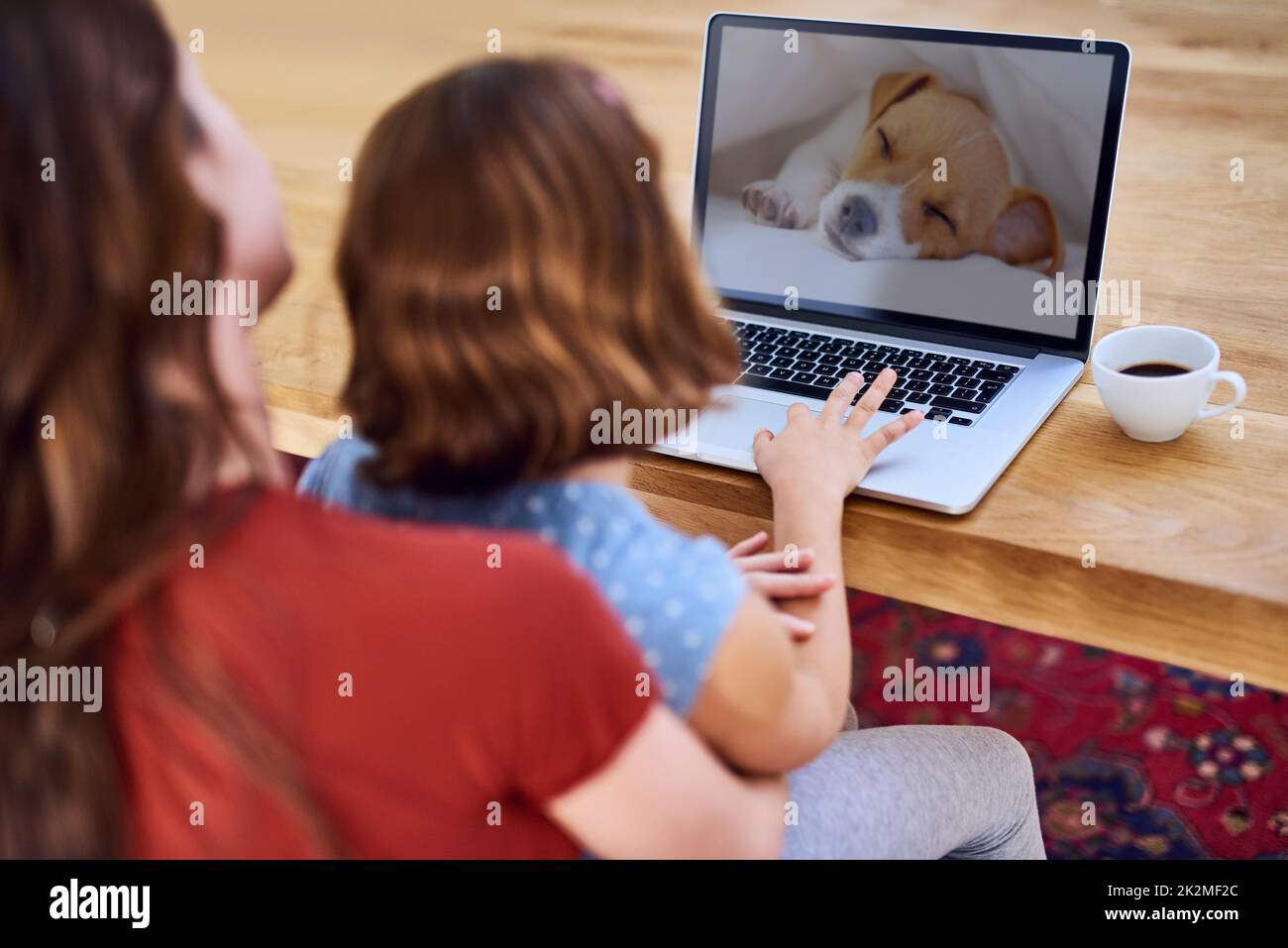 Look at the cute puppy Mom. Cropped shot of a mother and daughter using a laptop together at home. Stock Photo