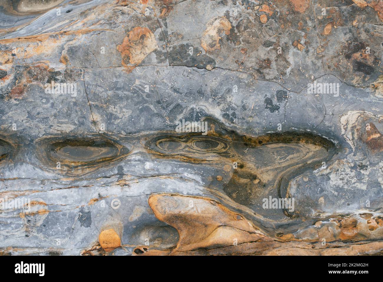 Point Lobos blue grey soft rock stone texture with cracks. Natural ...