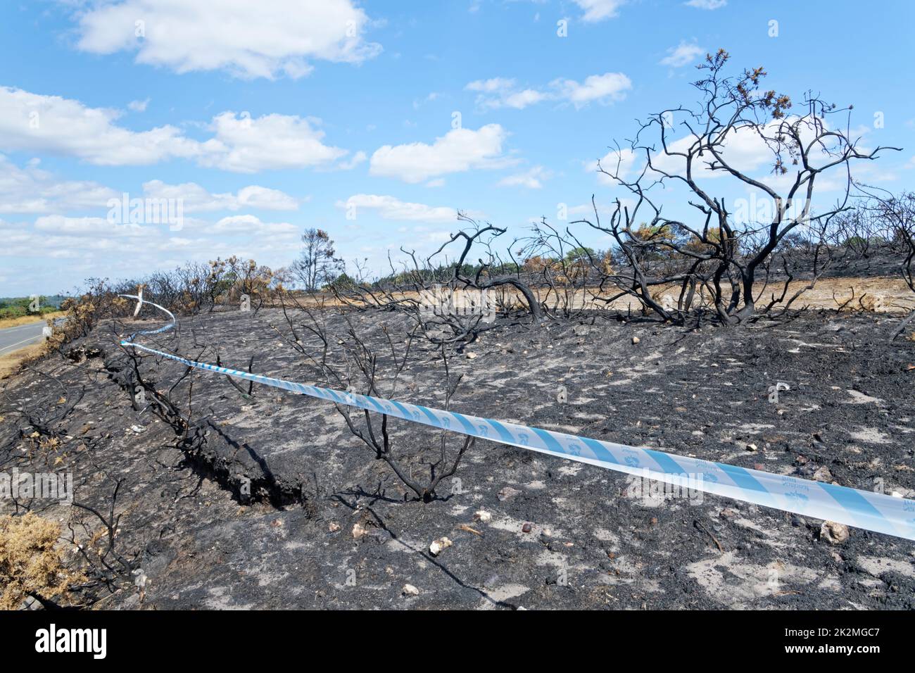 Keep Out barrier tape around heathland badly burnt by a fire, likely started by a disposable barbecue, Studland Heath, Isle of Purbeck, August 2022 Stock Photo