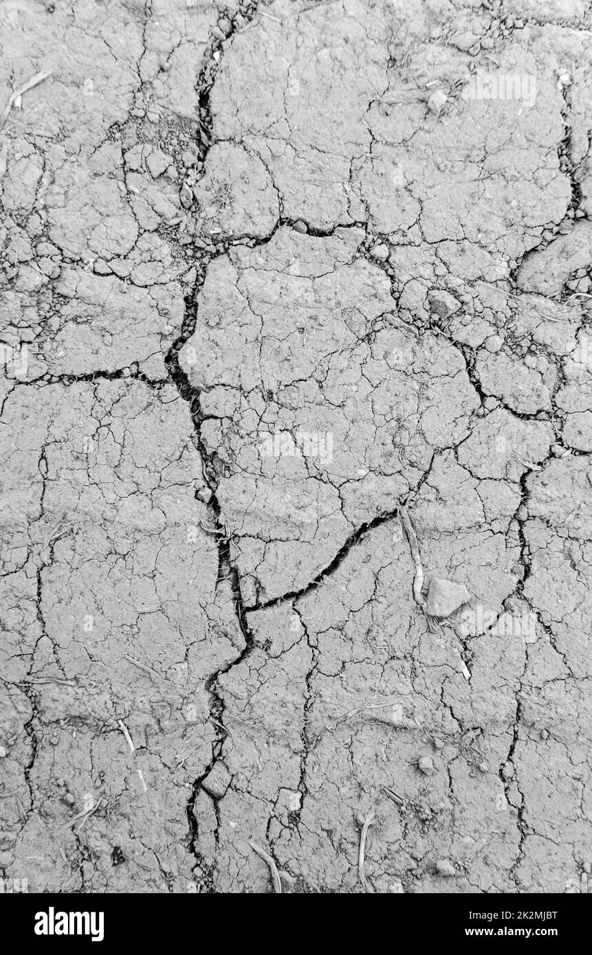 Dry soil, cracked muddy ground, dried mud with cracks, flat lay view