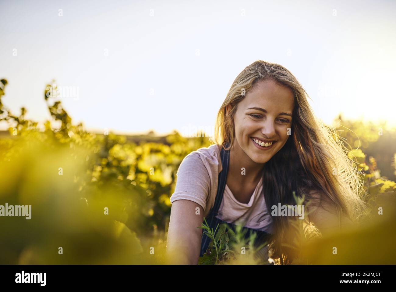 She knows her plants. Shot of a young woman tending to her crops on a farm. Stock Photo