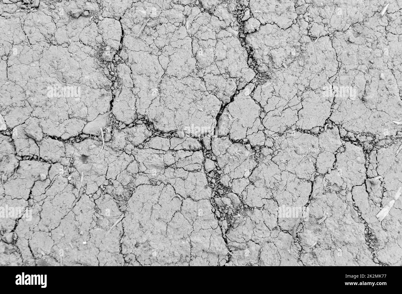 Dry soil, cracked muddy ground, dried mud with cracks, flat lay view from directly above, natural abstract background or wallpaper Stock Photo