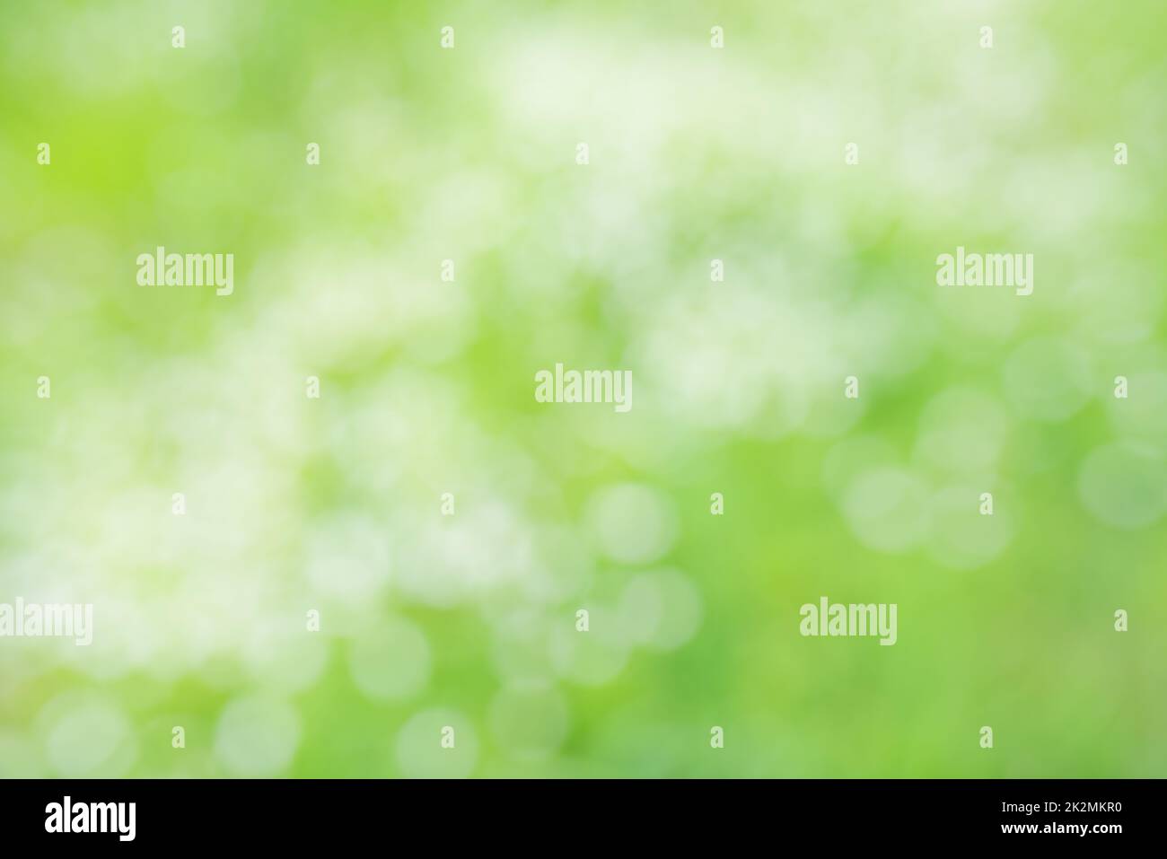 Abstract Light Green Background Stock Photo Alamy abstract-light-green-background-stock-photo-alamy
